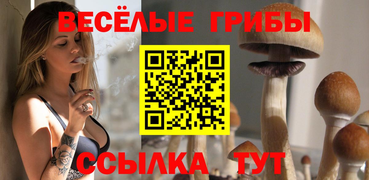 Псилоцибиновые грибы Psilocybe Майский